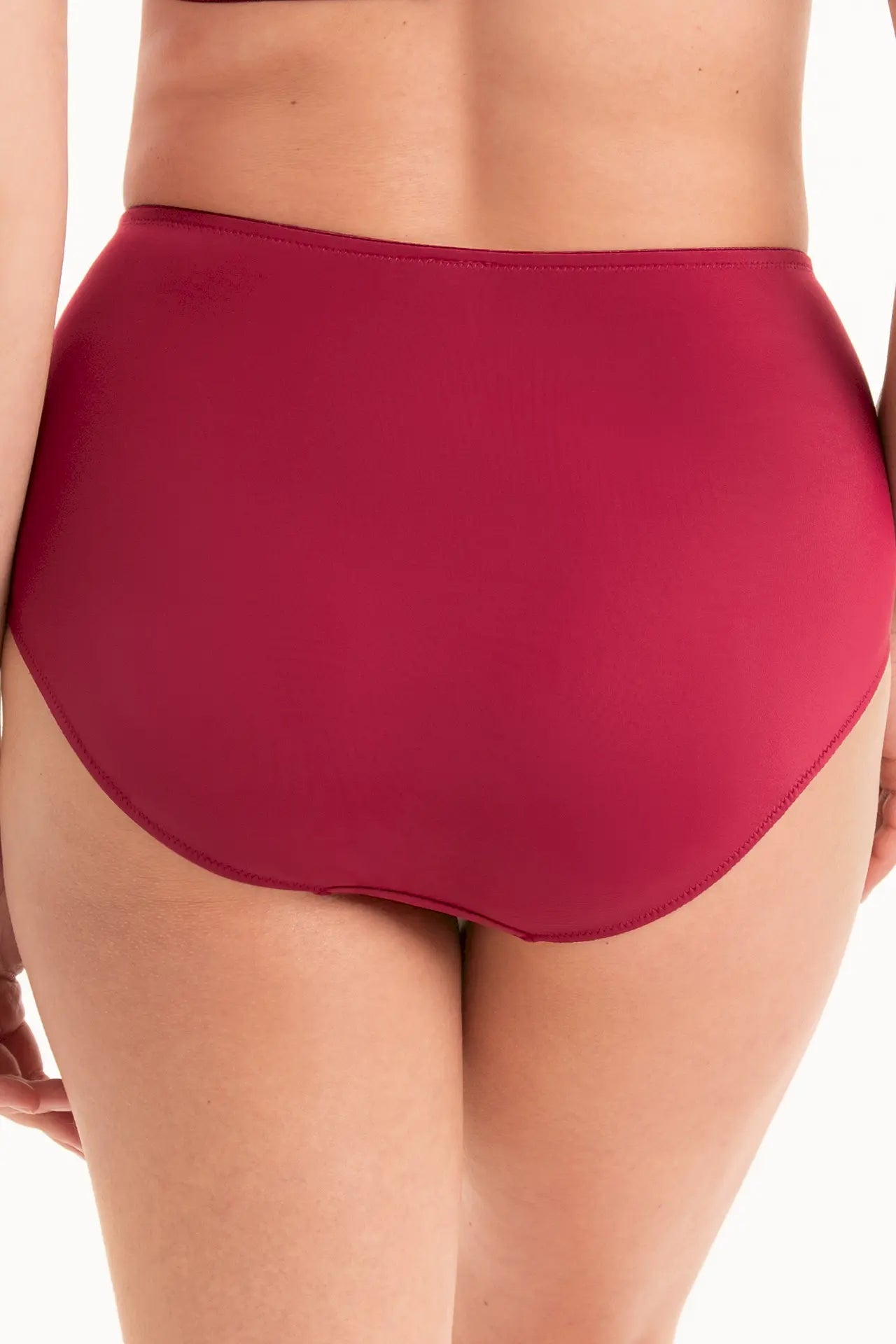 Taillenslip Dessous-Serie HAVANNA von der Marke Anita, Farbe: dark red, Rückansicht