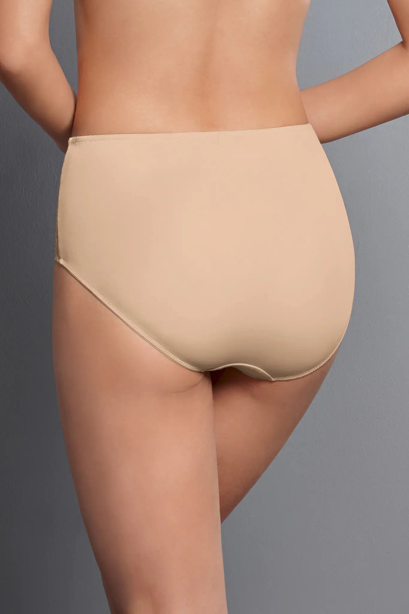 Taillenslip Dessous-Serie HAVANNA von der Marke Anita, Farbe: desert, Rückansicht