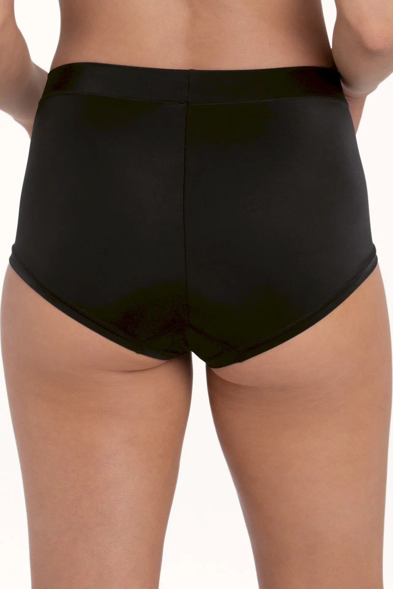 Taillenslip+ aus der Lieblingswäsche-Serie CLAIRE von der Marke Anita, Farbe: schwarz, Rückansicht