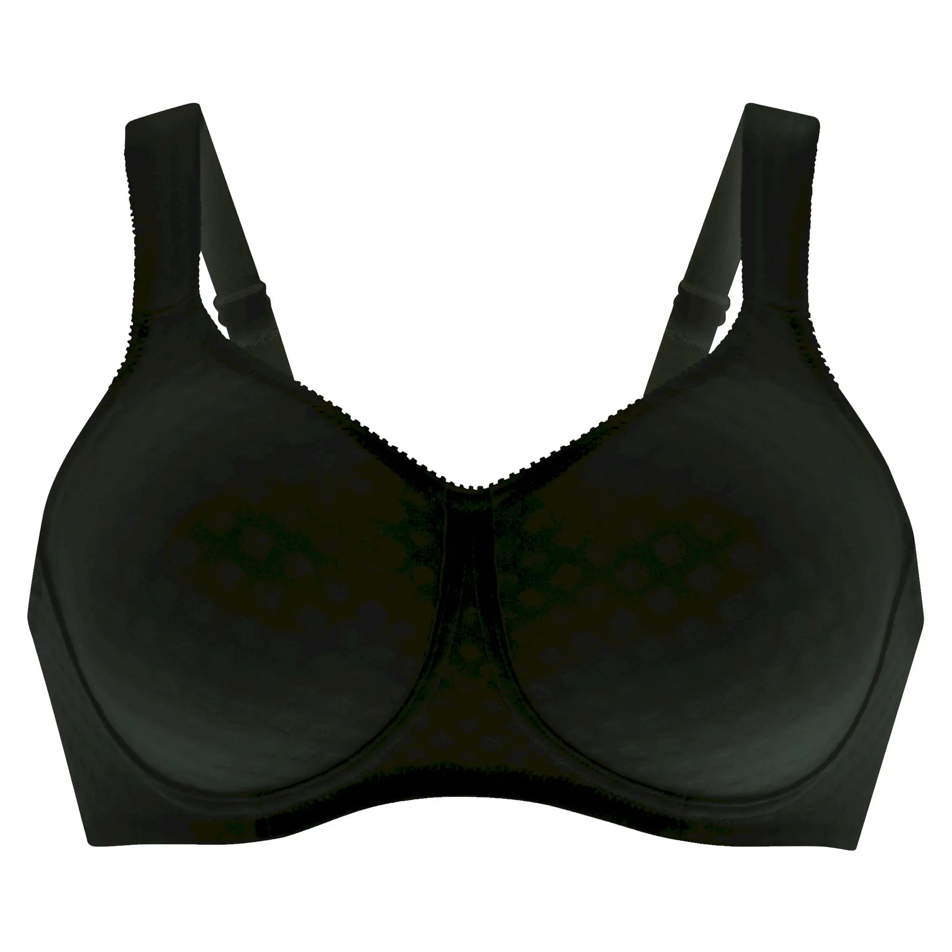 Prothesen-BH aus der Prothesenunterwäsche-Serie LISA von der Marke Anita, Farbe: schwarz, Produktfoto