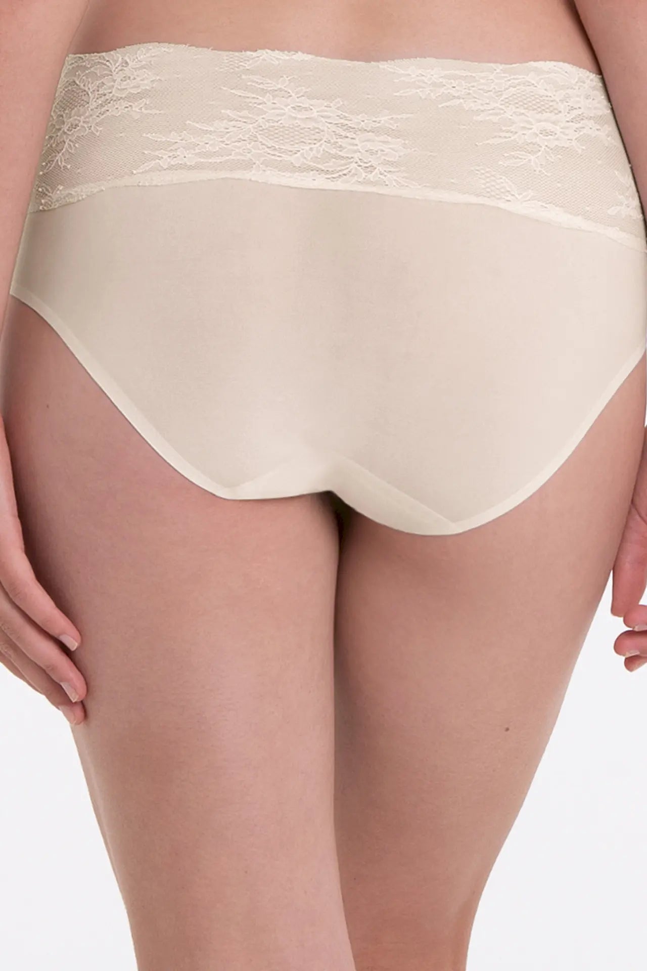 Taillenslip aus der Wäsche-Serie ESSENTIALS LACE von der Marke Anita, Farbe: crystal, Rückansicht