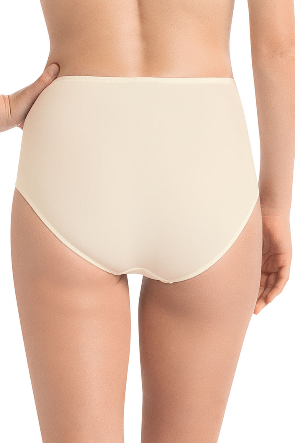 Taillenslip Dessous-Serie HAVANNA von der Marke Anita, Farbe: crystal, Rückansicht